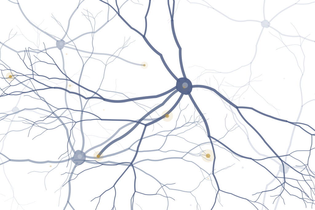 neuronen organisch transparent