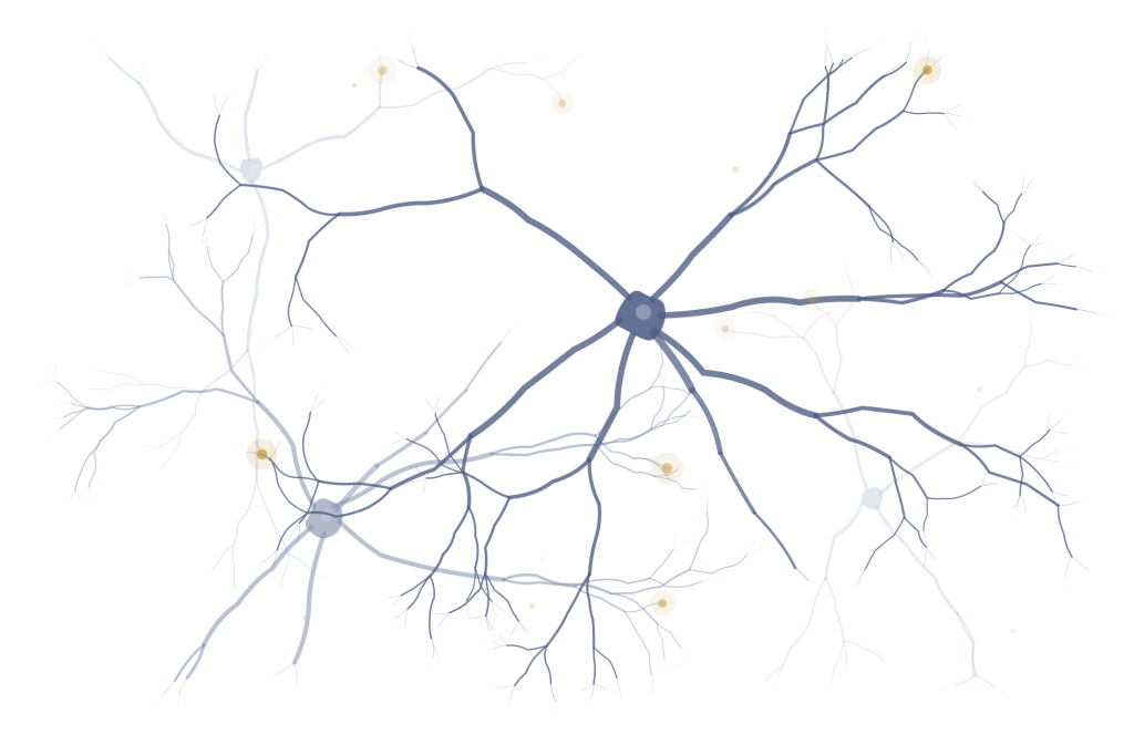 2026 09 website neuronen